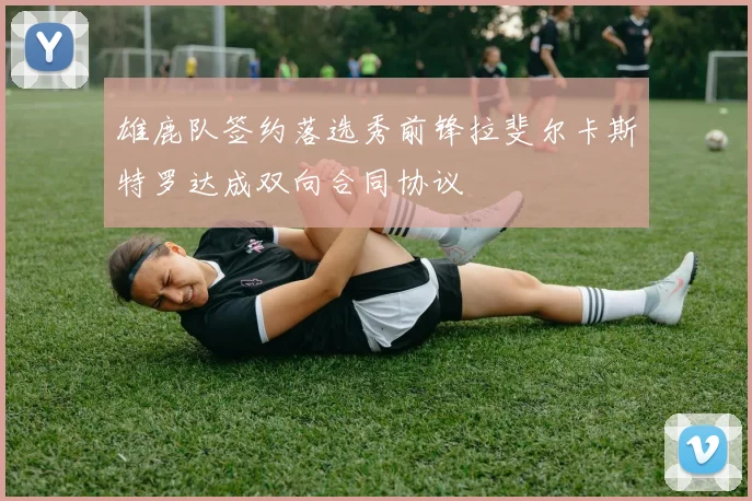 雄鹿队签约落选秀前锋拉斐尔卡斯特罗达成双向合同协议
